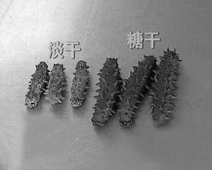 海参如何辨别好坏