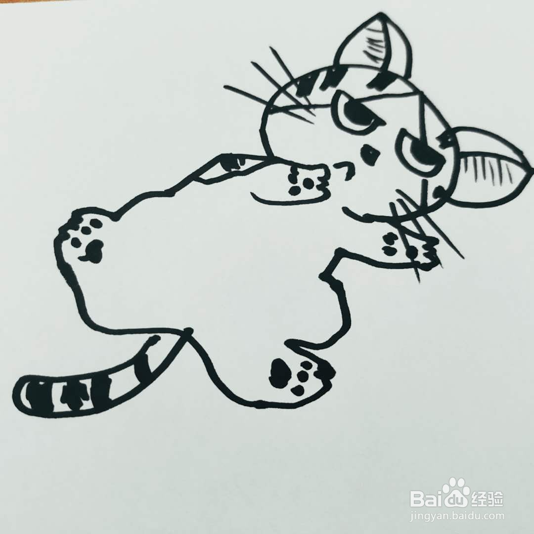 怎么画一只温柔的卡通猫咪简笔画呢