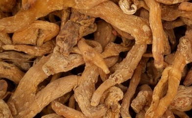 多动症不治疗的危害到底有多大?