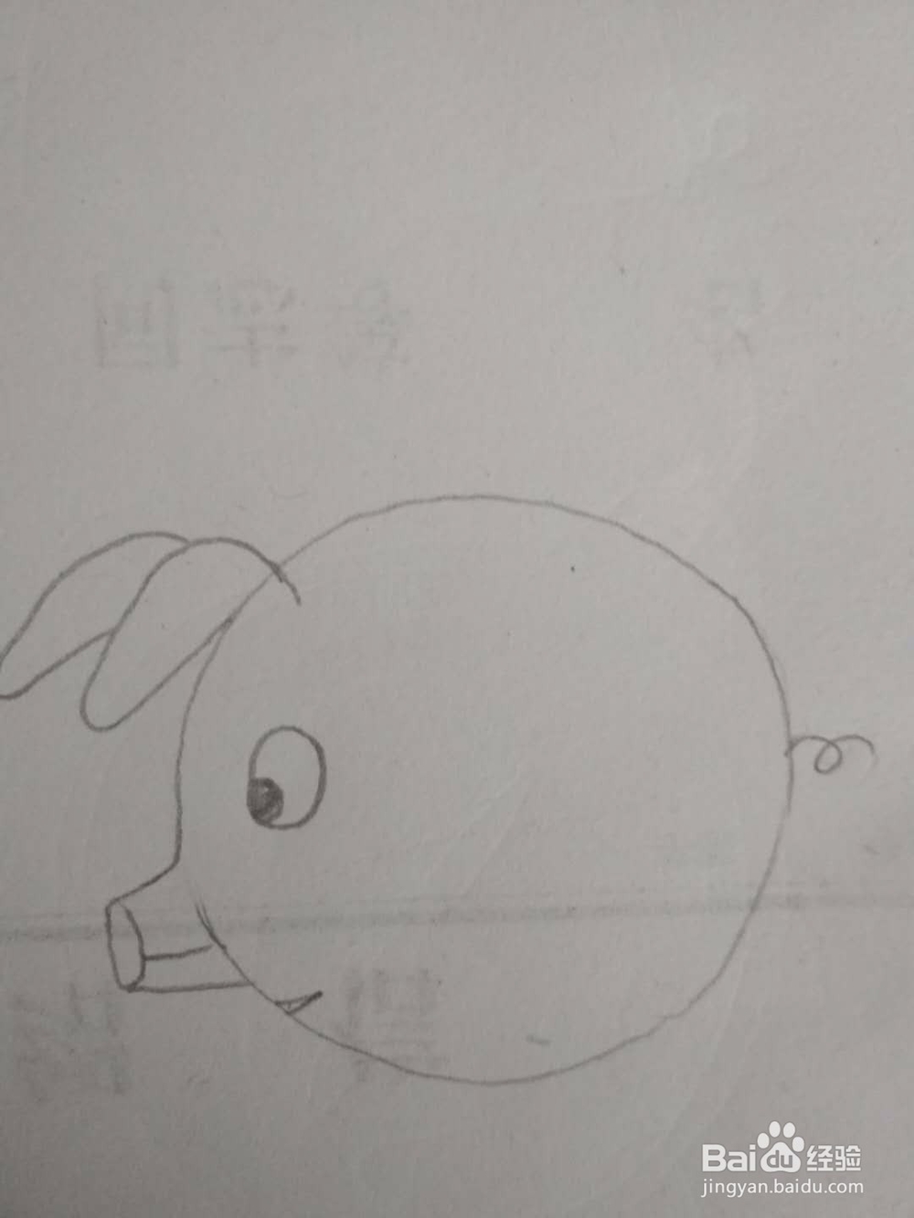 多妈简笔画动物一只胖嘟嘟的小猪