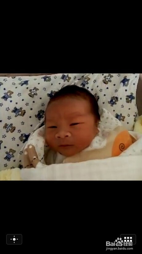 微信小视频保存在哪里，微信小视频怎么导到电脑