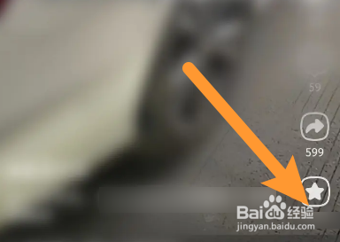 点淘软件中怎么收藏视频