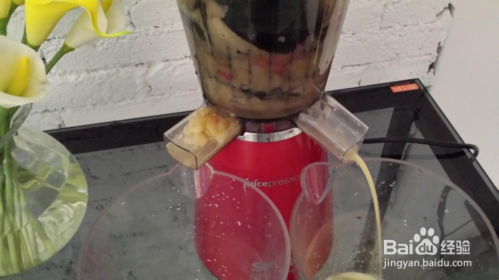 SKG2019韩国进口原汁机，手掌的奇幻色彩