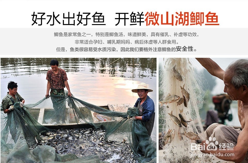 开鲜产妇鲫鱼汤做法