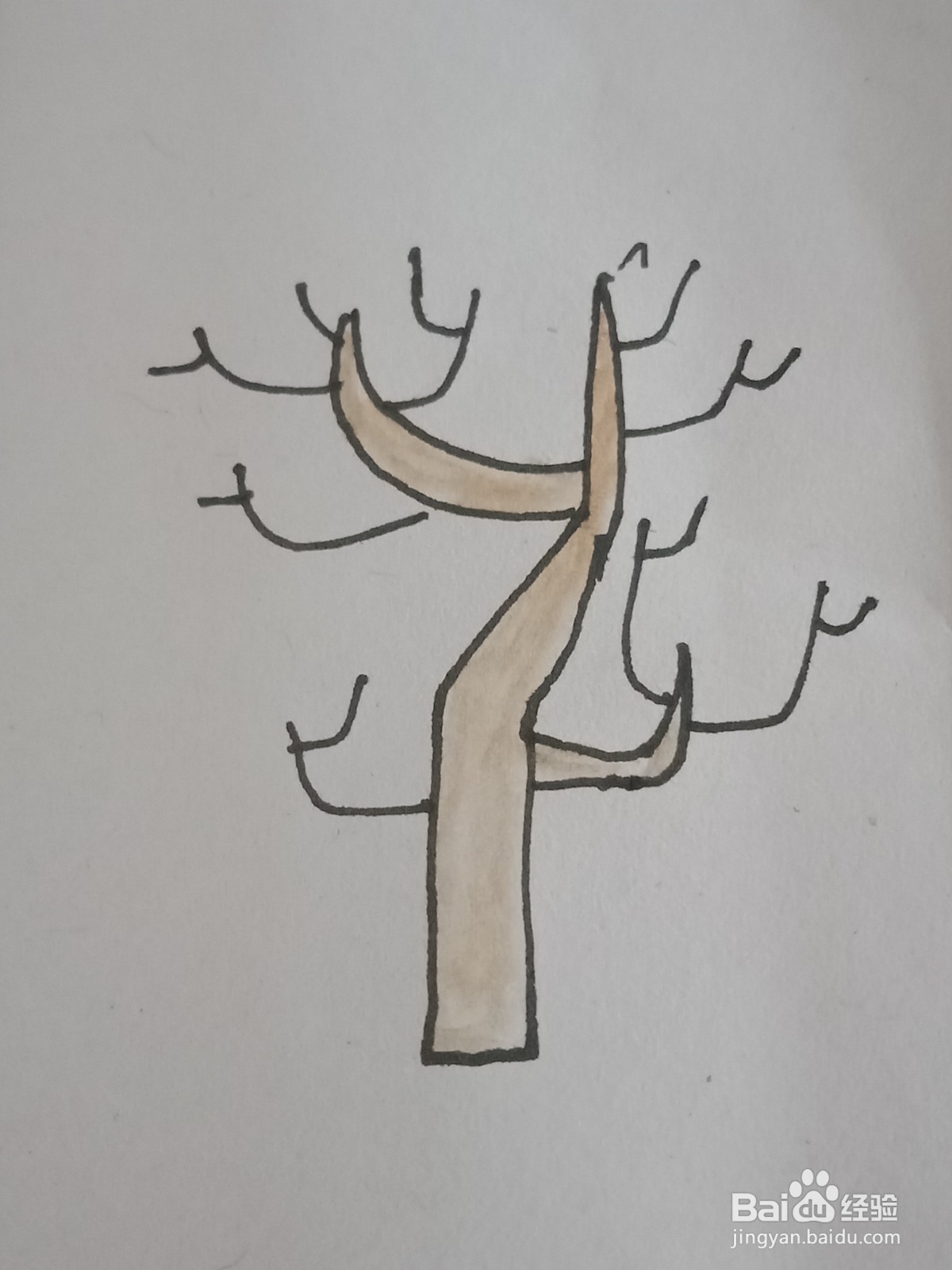 幼儿园简笔画树木
