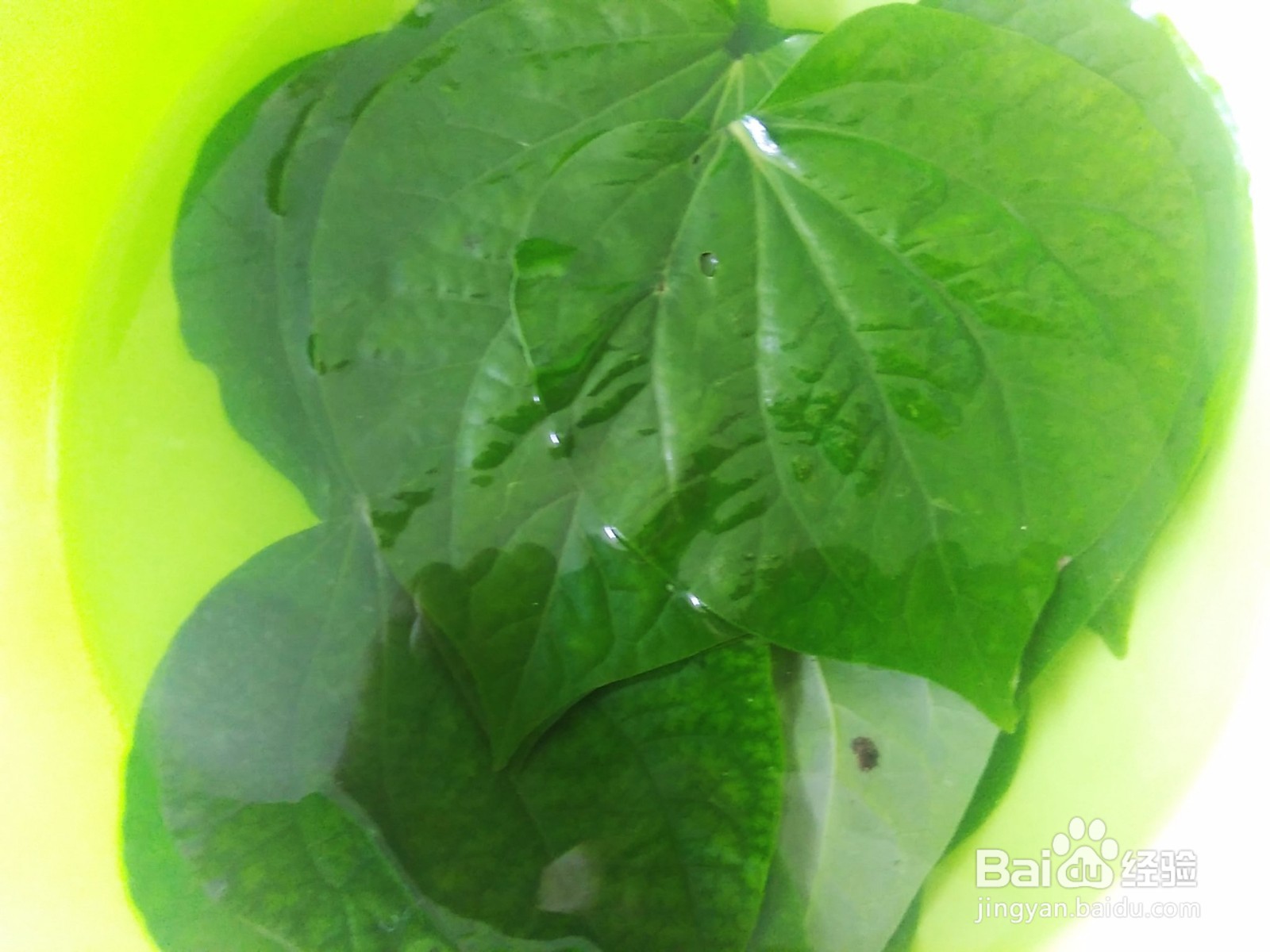 猪头皮和假篓这样做，超好吃