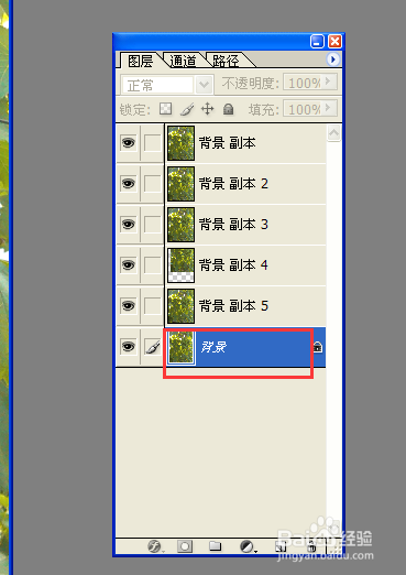 用PS复制背景图层的6种方法