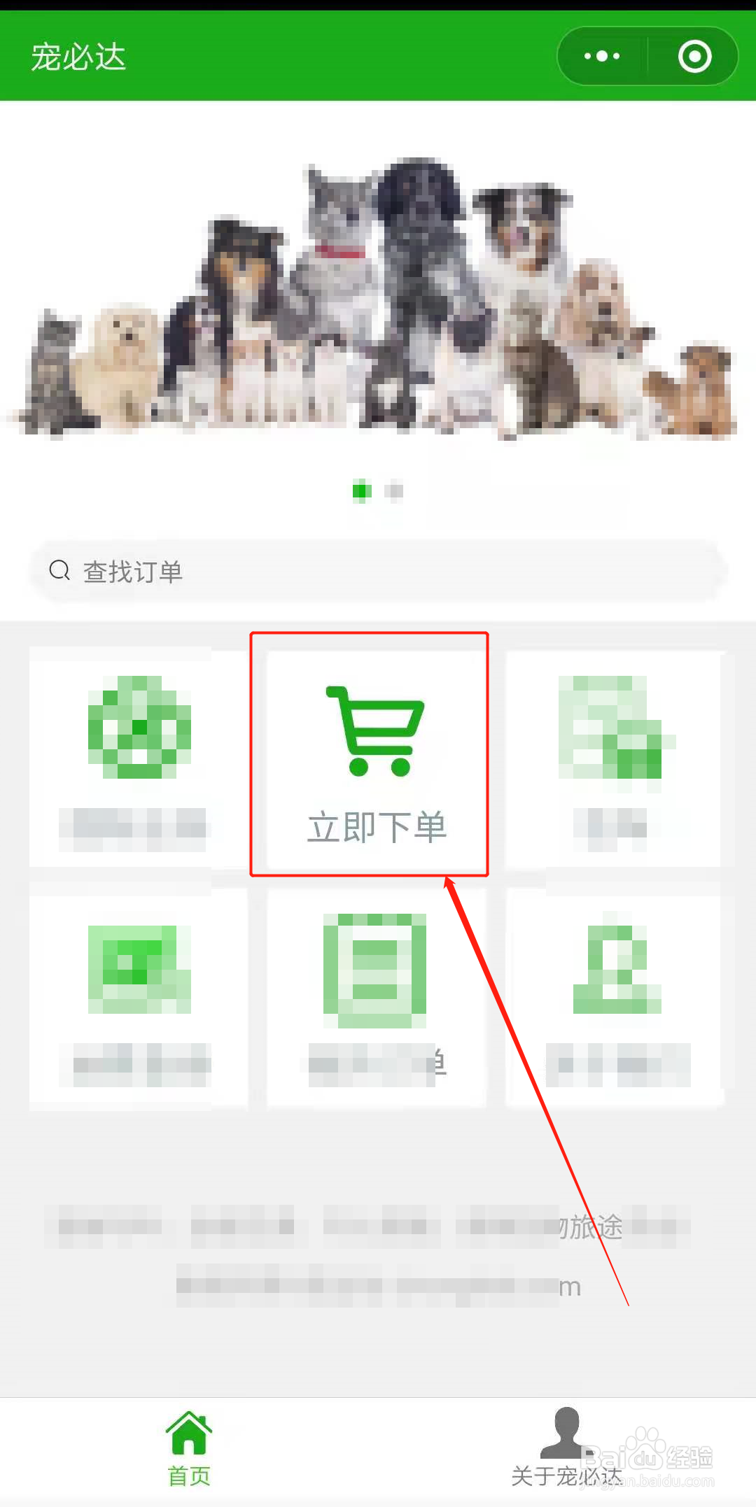 狗狗怎么寄回老家