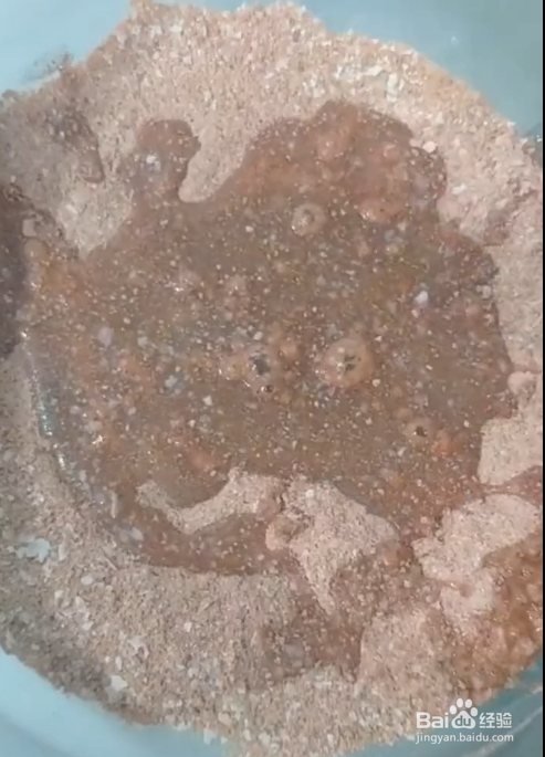 如何制作四季通用饵料