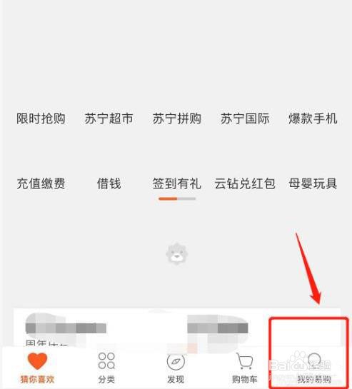 怎么在苏宁易购设置安保问题
