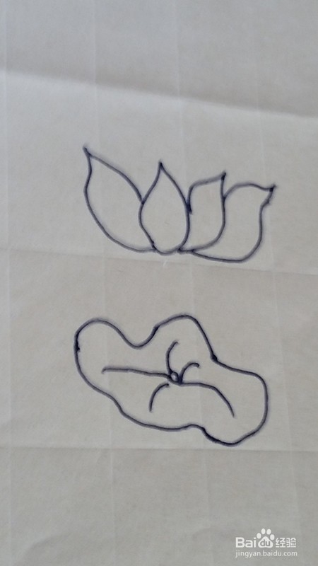简笔画-----荷花的画法