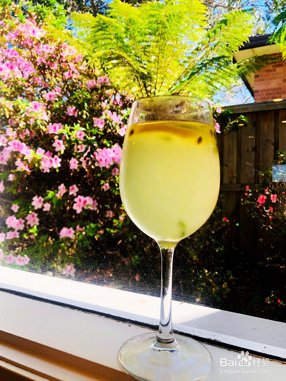 做出入味的百香果柠檬薄荷水