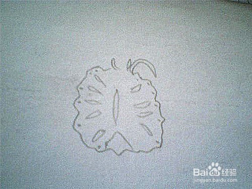 简笔画切开的菠萝这样画