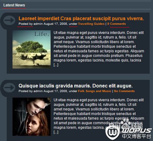 WordPress主题完全翻译教程