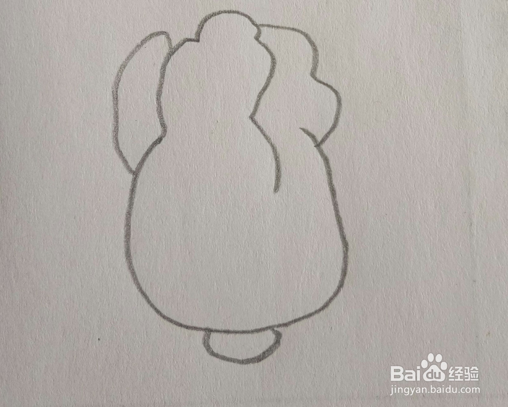儿童简笔画白菜画法四