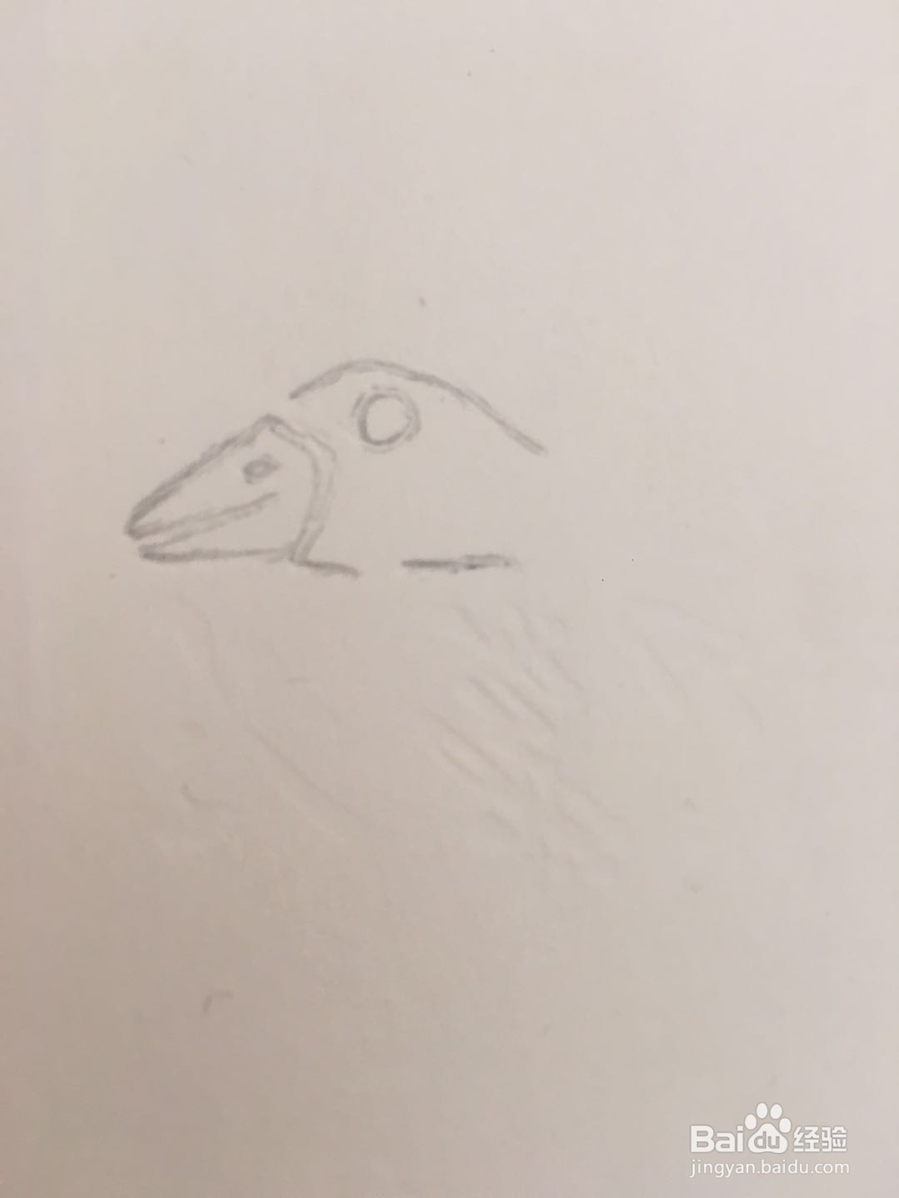 大雁的简笔画怎么画