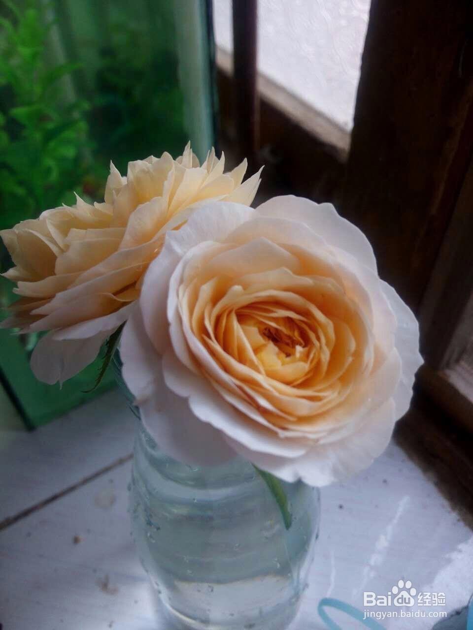 如何设计有创意的教师节短信