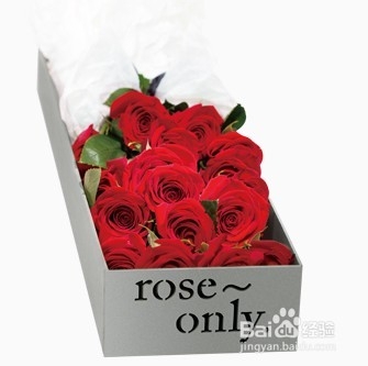 roseonly永生花养护