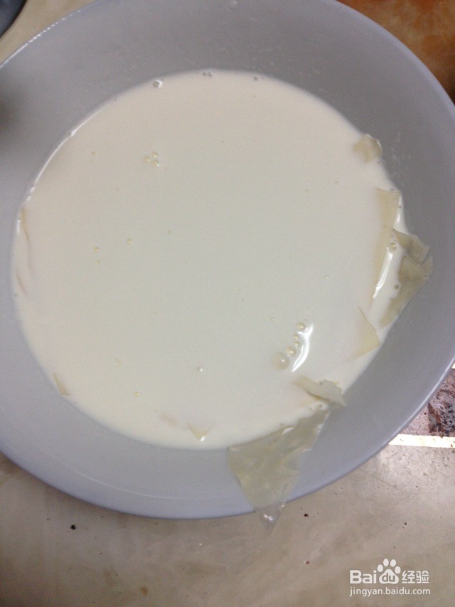 冻酸奶芝士蛋糕的做法