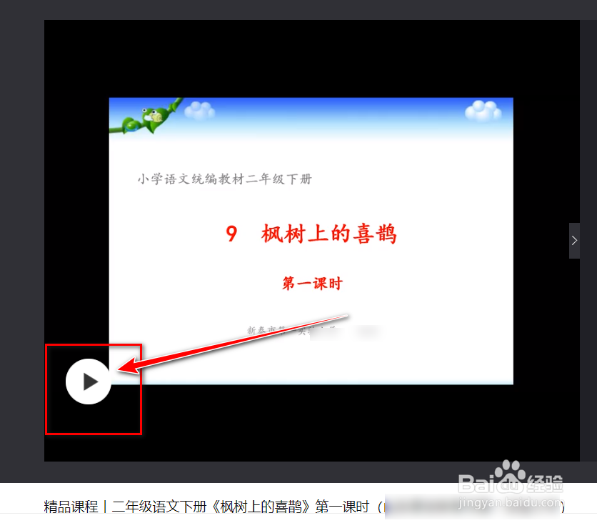 《枫树上的喜鹊》第一课时教学视频
