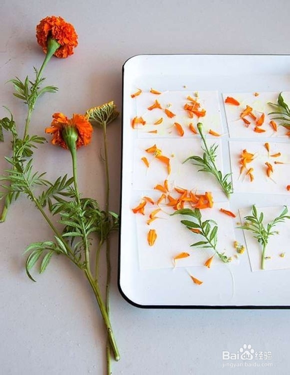 DIY清新明信片—精简八步