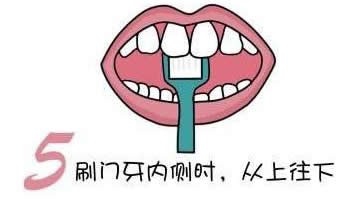 刷牙的方法图解