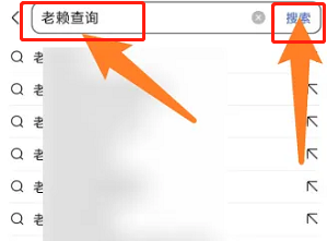 老赖查询网上查询个人信息