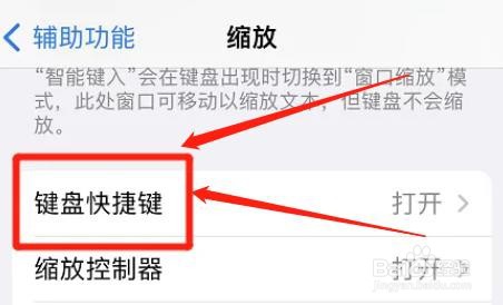 iphone如何设置切换缩放区域