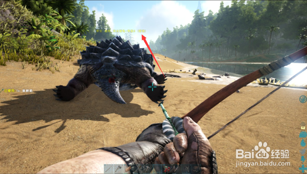 方舟生存进化如何驯服淡水碳龟