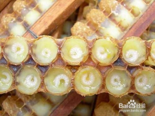 <b>经常食用蜂王浆对人体有哪些好处</b>