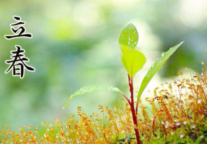 夏满芒种处相连的上一句是什么