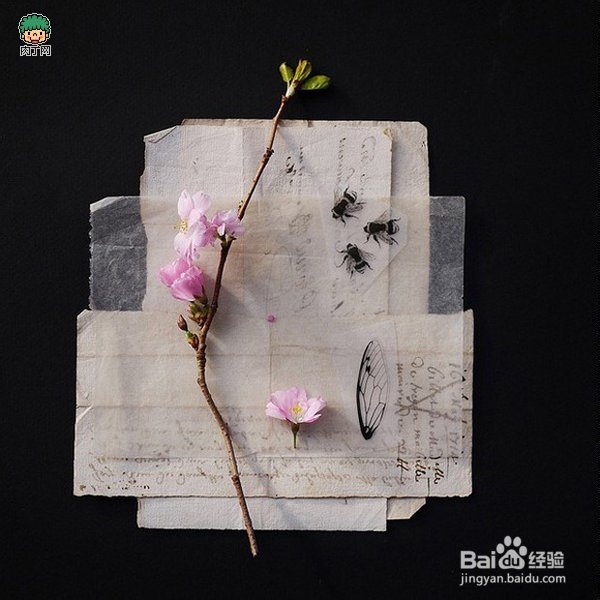 纸上玩乐的艺术—用旧物制作创意环保家居装饰品