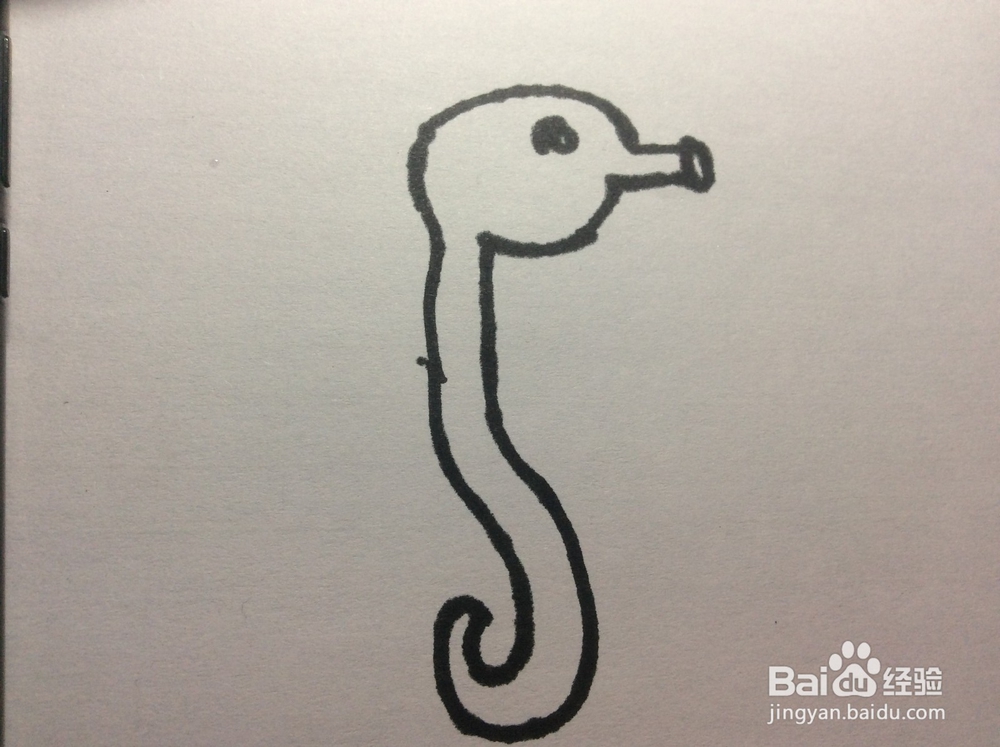 怎么画海马?海马那些简笔画怎么画呢?