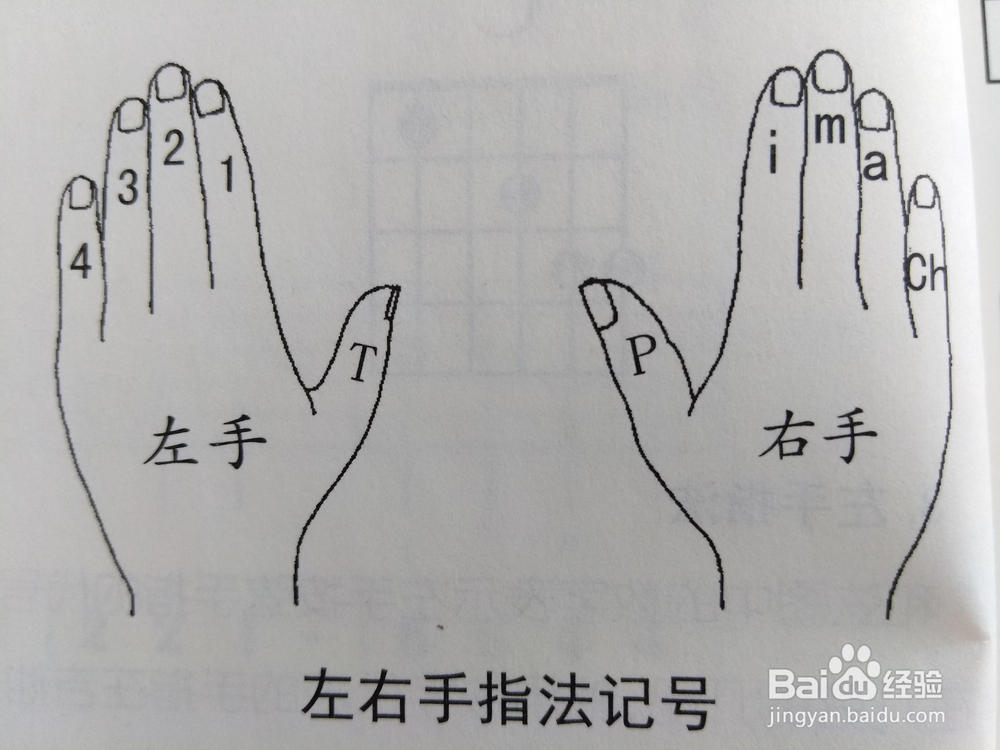 民谣吉他自学入门的正确学习顺序