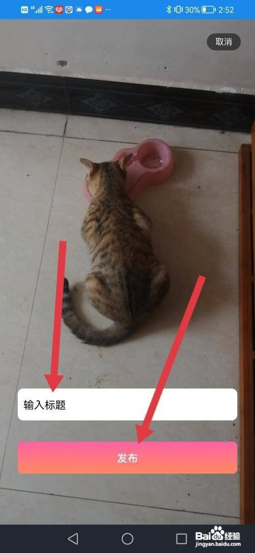 本地爱APP如何发布小视频