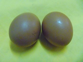 西红柿炒鸡蛋制作方法