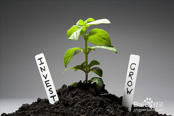 怎么做才能让孩子重获安全感