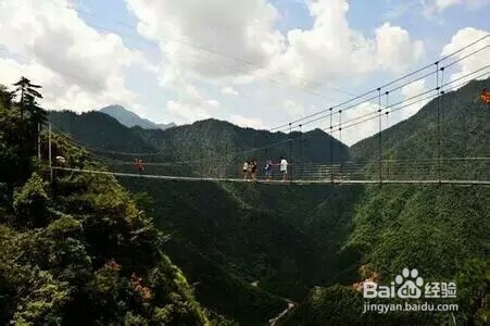 江西大觉山旅游攻略