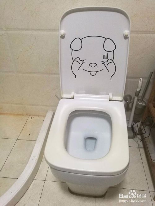 如何自己动手更换和安装智能马桶盖 百度经验