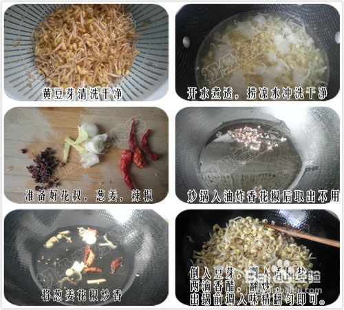 家常小炒--辣炒黄豆芽