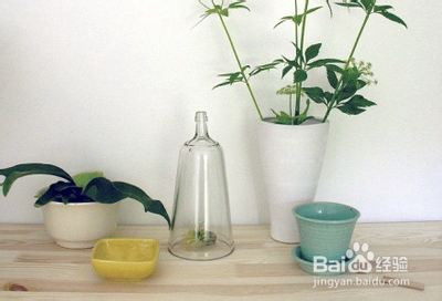 治疗腋臭的偏方