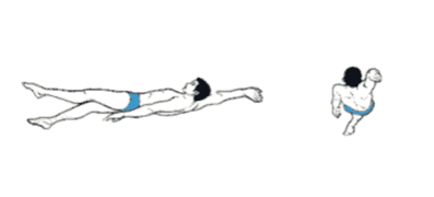 初学仰泳技巧视