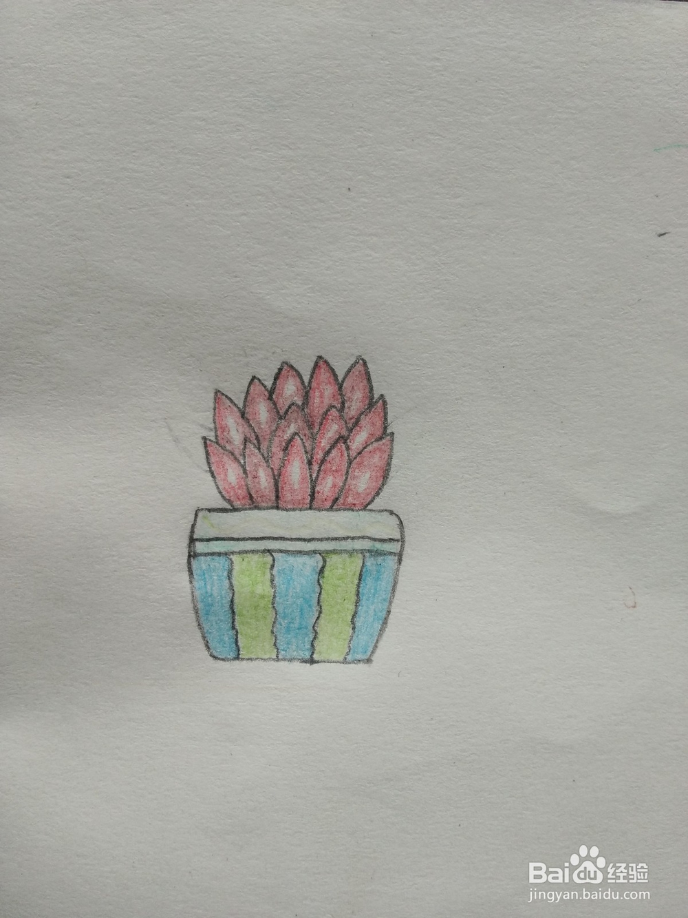 简笔画——怎么画多肉盆栽