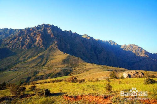 宁夏有哪些好玩的地方
