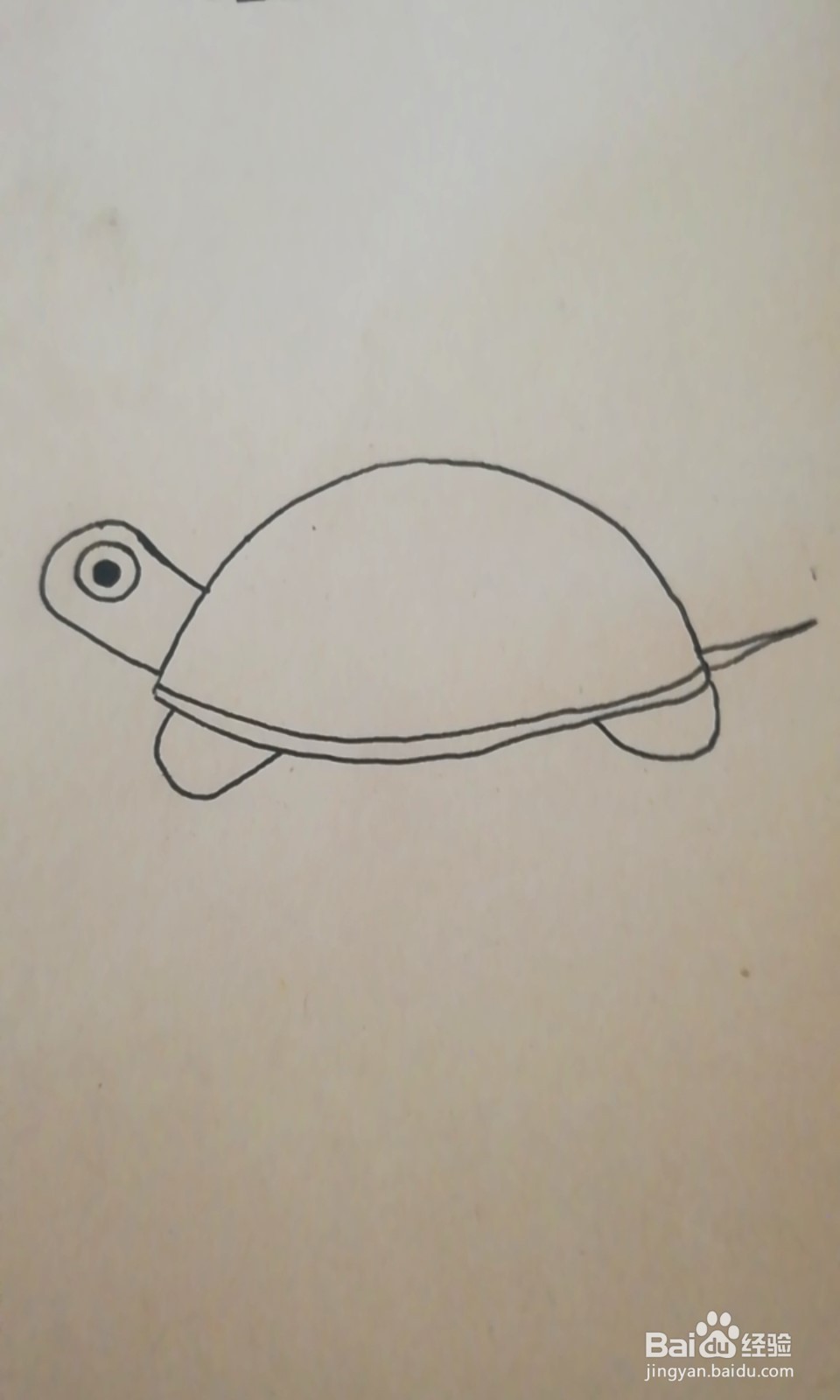简笔画-爬行的小乌龟怎么画