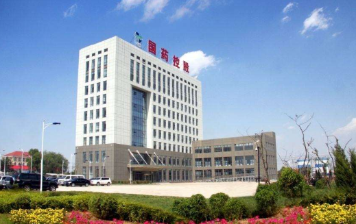 国药控股是什么意思呢