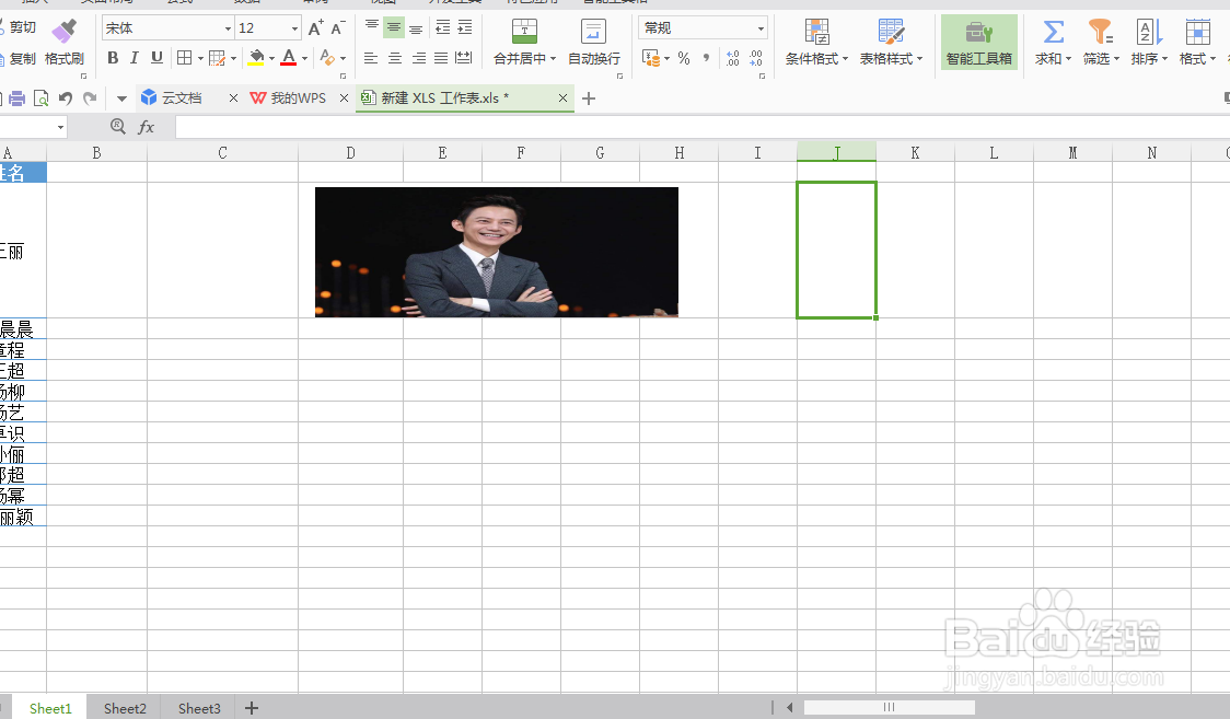 在WPS表格中，如何使图片随着单元格大小而变化
