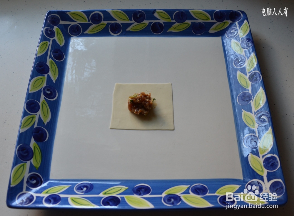 系列美食：[55]菜肉馄饨