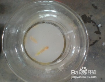 如何腌制酸豆角