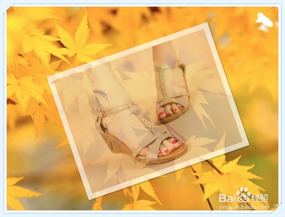 如何避开“秋冻”的误区